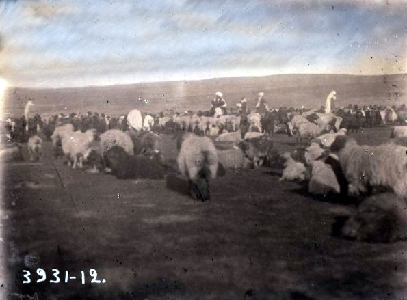 МАЭ № 3931-12