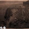 МАЭ № 3931-19