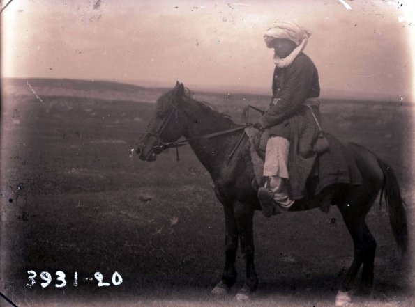 МАЭ № 3931-20