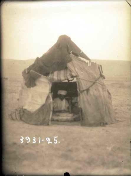 МАЭ № 3931-25