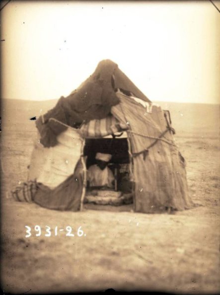 МАЭ № 3931-26