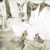 МАЭ № 4060-356 (1)
