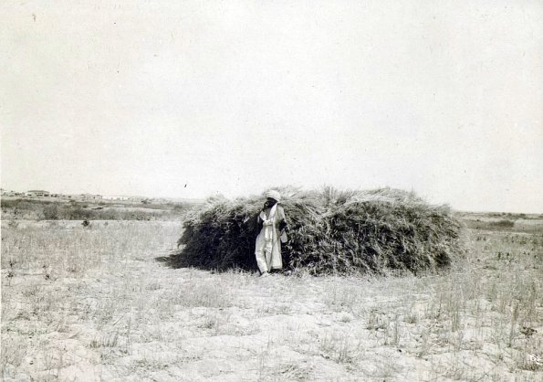 МАЭ № 4060-73