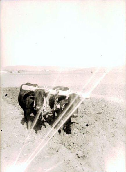 МАЭ № 3854-222