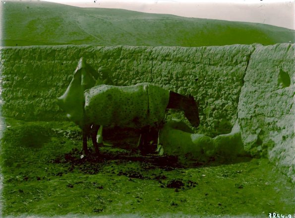 МАЭ № 3854-23